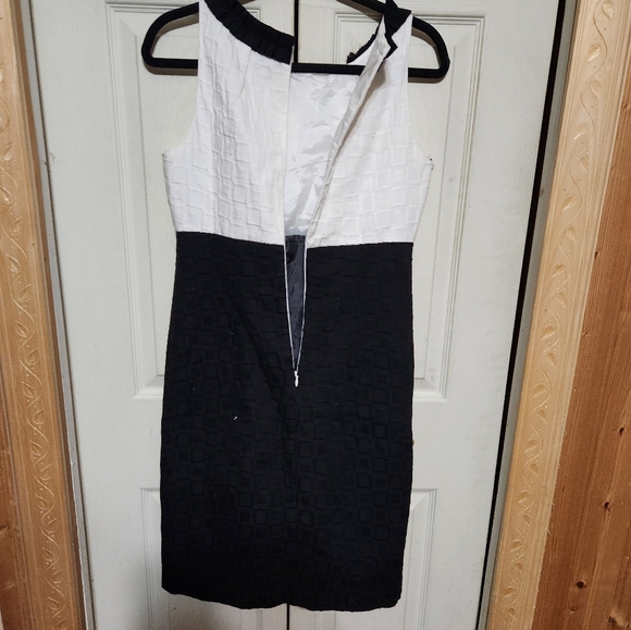 Elegant Black and White Sleeveless Dress - Picture 6 of 11